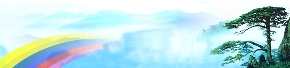 Portfolio Images